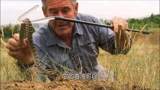 Untamed China with Nigel Marven - Snakes of Inner Mongolia