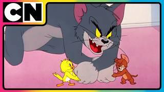 Tom and Jerry | The Duo of Destruction! | Compilation | Cat and Mouse Cartoon | @cnindia