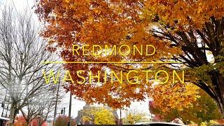 Redmond Washington | Living in Redmond / Seattle