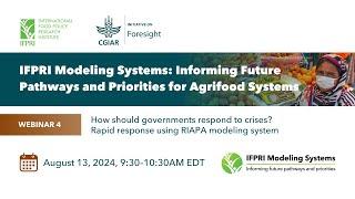 How should governments respond to crises? Rapid response using RIAPA modeling system