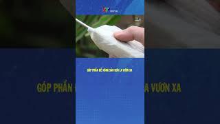 Góp phần để nông sản Sơn La vươn xa
