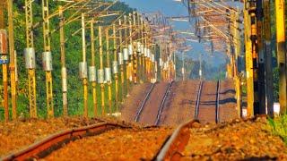 Beautiful Golden Hours Train's | Train Goes Up And Down Indian Railways....