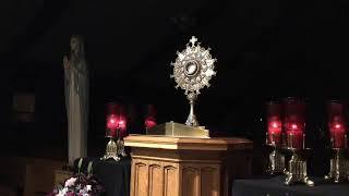 Diocese of San Jose Live Stream