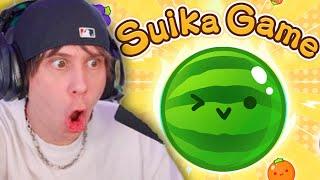 RUBIUS vuelve a SUIKA GAME | Reto superar a zeling