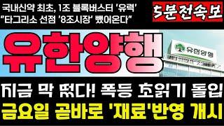 [유한양행 주가전망] [긴급] 렉라자 ‘1차 치료옵션’ 정식 등재! 북미 공략 속도전 돌입! 타그리소 8조매출시장 결국 뺐어온다! 역대최고 매수타이밍 드디어 왔다! 풀매수 대기!