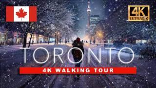 Toronto's Christmas Magic in the Snow | 4K HDR Winter Walk at 60fps