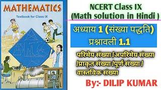 Mathematics CLASS IX ( Chapter 1/संख्या पद्धति/Exercise 1.1)