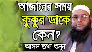 আজানের সময় কুকুর ডাকে কেন? আসল তথ্য শুনুন Maulana Abul Kasem Sarkar 01714922744 Bangla Waz 2020