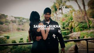 Sangdi (Slowed + Reverb) - Sukha | BARATO NATION