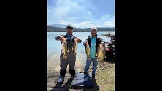 Bass Fishing a Derby Tournament at Sugar Loaf, AR (Almost Won!!!)