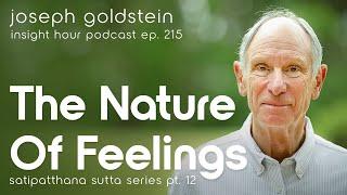 Mindfulness of Our Emotions – Joseph Goldstein's Satipatthana Sutta Series Pt. 12 – Insight Hour 215