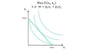 A.6 Maximización de utilidad | Consumo - Microeconomía