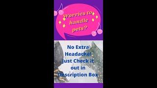 No Extra Headache for funniest pets and animals || pet animals gallery