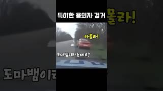 좌충우돌 용의자 검거 ㅋㅋㅋ [병맛더빙]