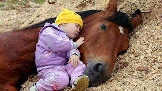 Tender Moment Between a Little Friend and a Horse