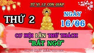 Tử Vi Ngày 16/06 Của 12 Con Giáp - Cơ Hội Lẫn Thử Thách BẤT NGỜ 
