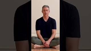 stop and breathe before asana |  Himalayan Institute