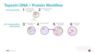 Webinar: How to detect DNA and protein simultaneously in a single cell