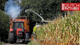 Mais hakselen en kuilwerk - Maishäckseln und Silo fahren - Maisernte - 2018