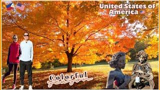 BEAUTIFUL FALL SEASON IN MORTON ARBORETUM LISLE ILLINOIS #usa #2022 #pinaylifeinusa #fall #season