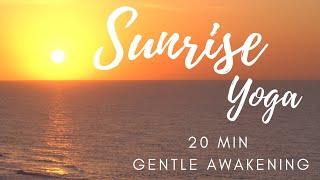 Sunrise Yoga | Morning Yoga 20 minutes to Bliss