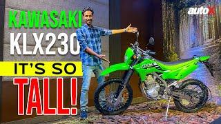 New Kawasaki KLX 230 First Look | Road Legal Dirt Bike Coming To India | 2024 | autoX