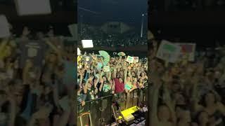 Steve Aoki's cake-throwing accuracy is unmatched| SPIN