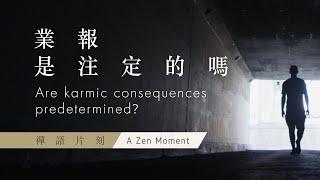 【禪語片刻 A Zen Moment】 第三集 業報是注定的嗎 | EP3 Are karmic consequences predetermined?