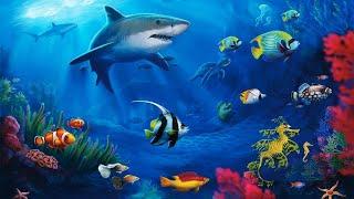 What a beautiful underwater world | How the ocean speaks