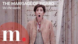 Mozart's Voi che sapete from The Marriage of Figaro at the Royal Opera of the Château de Versailles