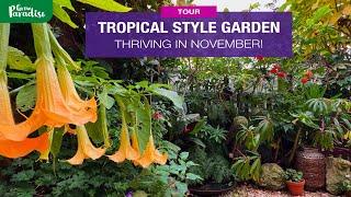 UK tropical garden AMAZINGLY thriving in November 