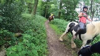 Muddy Ride havant,emsworth,chichester...