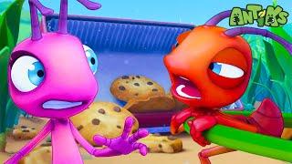 Antiks find a HUGE Cookie | Antiks Stories and Adventures for Kids | Moonbug Kids