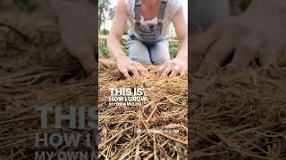 How I grow my own #garden mulch for healthier #soil