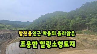 [No.781]읍소재지 인근마을뒤 새소리 정겨운 조용한  힐링소형토지