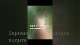 Восстановление растений с биопрепаратами Экодачник #сад #огороднаподоконнике #урожай