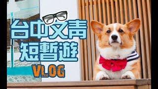 柯基犬肥油 X 一起郊油趣 台中文青短暫遊 VOLG