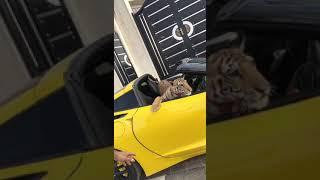 عبدالرحمن العنزي ابوهاني مع شجاع