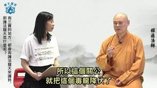 一日一問生活禪 -117(佛教「護法龍天」的由來)