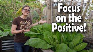 Gardening With a Positive Mindset