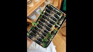 MAYAK KIMBAP (Korean Seaweed Rice Rolls) 