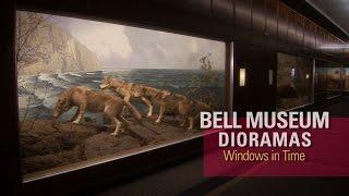 Bell Museum Dioramas: Windows in Time