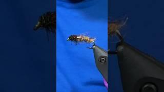 Kamloops Caddis Pupa Fly Pattern Fly Tying Tutorial #flytying #Caddisfly #stillwaterflypatterns