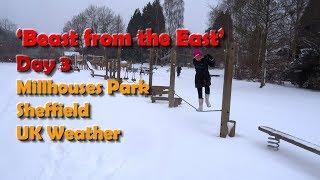 'Beast from the East' UK Snow Day 3 - Millhouses Park, Sheffield Things to Do