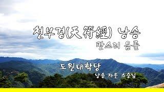 천부경(天符經) 7회 연속 재생 판소리 음률 자운스승님 [도원(道圓)대학당]