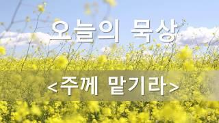 주께 맡기라 - 오늘의 묵상 #43(시편 55:22, 성경말씀묵상)