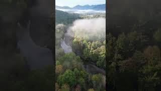 Breathtaking Drone Footage Reveals Hidden River in Misty Forest