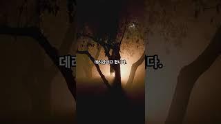 멕시코의 저주받은 강… 사라진 사람들은 어디로 갔나? #미스터리
