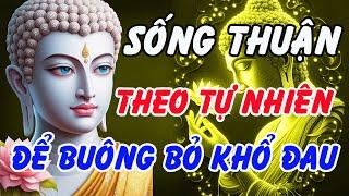 Sống Thuận Theo Tự Nhiên – Lời Phật Dạy Giúp Buông Bỏ Mọi Khổ Đau, Tâm An Lạc Mỗi Ngày