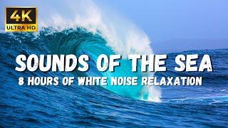 Ocean Ambience: Wash It All Away with Soothing Sounds of the Sea, No Music